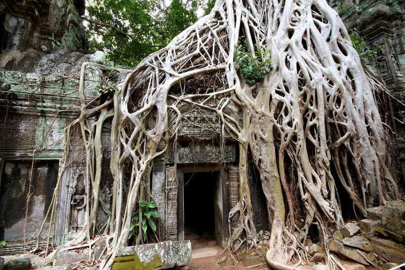 Siem Reap: Private Tour of Angkor Complex - Baphuon, Phimeanakas, and the old royal center