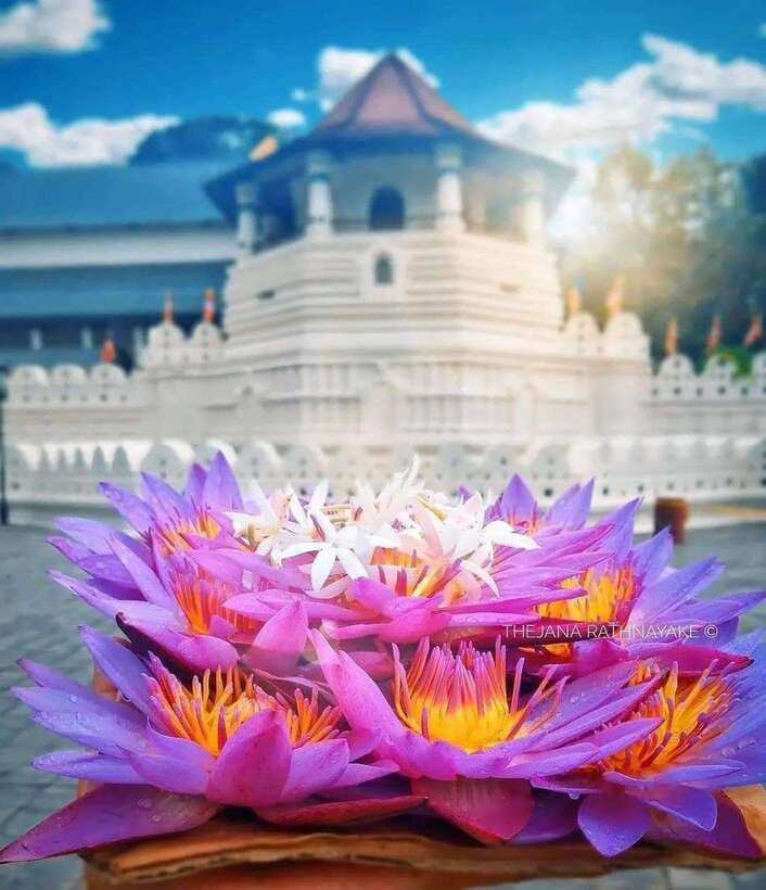 Sigiriya To Kandy Private Transfer: Visit Dambulla Temple - What the 3.5-Hour Schedule Really Means