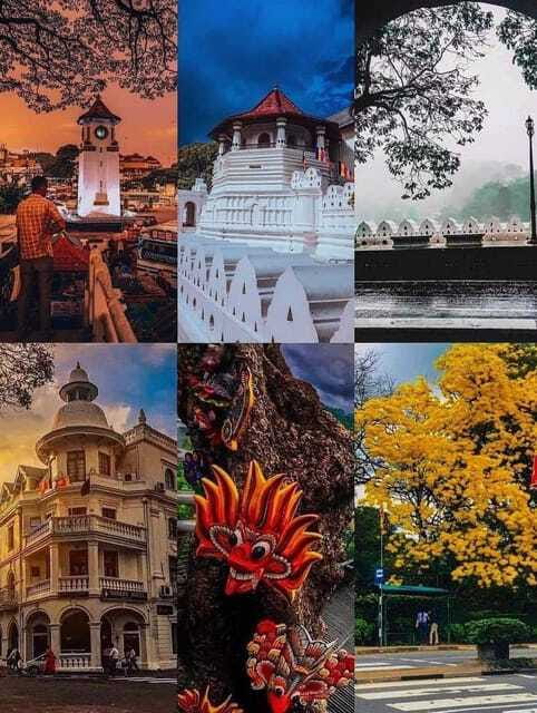 Sigiriya To Kandy Private Transfer: Visit Dambulla Temple - Kandy Drop-Off, Not a Kandy Sightseeing Tour