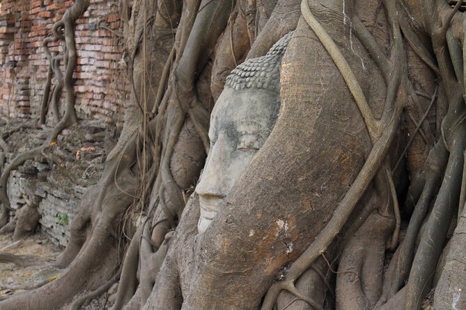 Small Group Tour to Ayutthaya Temples from Bangkok with Lunch - Wat Mahathat and the Buddha head in the tree