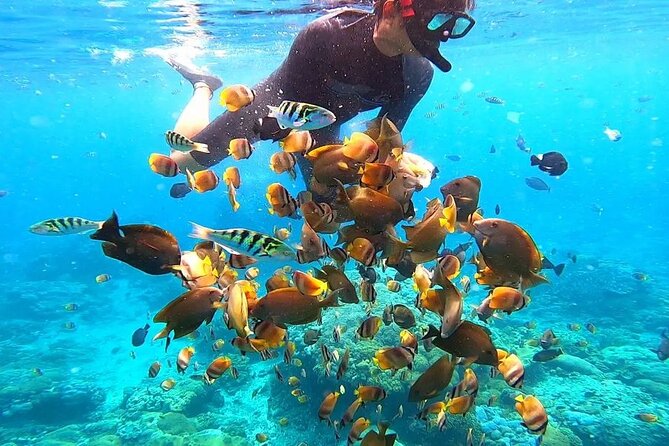 Snorkeling In Nusa Penida And Uluwatu Sunset Tours - Gamat Bay for a calmer half-hour