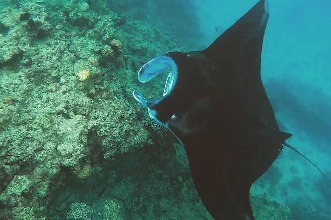Snorkeling In Nusa Penida And Uluwatu Sunset Tours - Returning to Bali and heading for Uluwatu