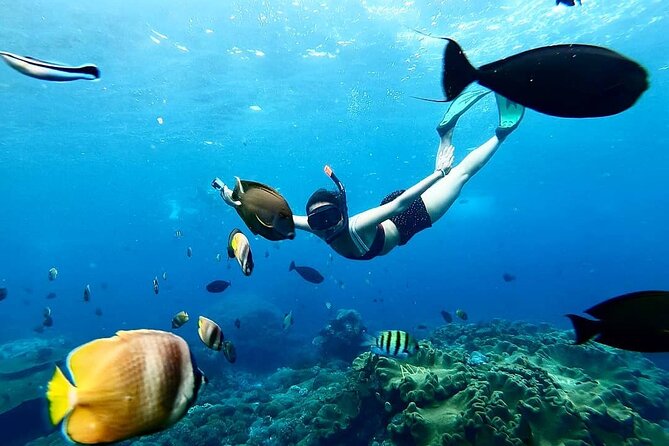 Snorkeling In Nusa Penida And Uluwatu Sunset Tours - Getting to Sanur before the Nusa Penida boat