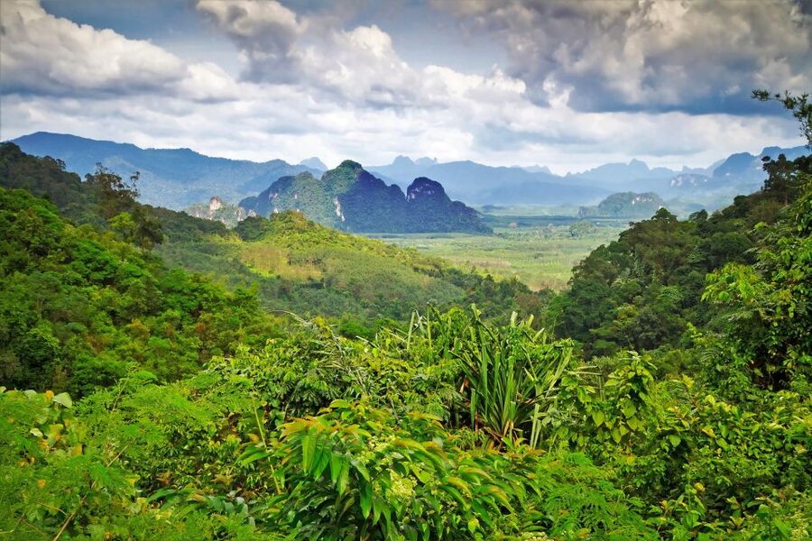 Sok River: Bamboo Raft Ride, Monkey Temple & View Point Tour - Who will enjoy this half-day outing