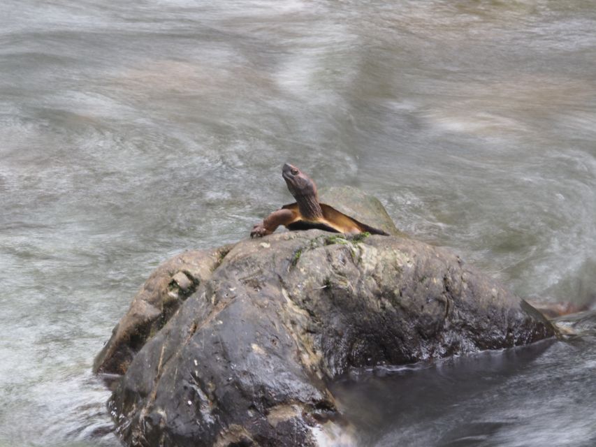 Sok River: Bamboo Raft Ride, Monkey Temple & View Point Tour - What to bring and how to prepare