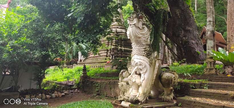 Spiritual Sunrise Wat Doi Suthep, Pha Lat, Alms & Meditation - Wat Umong and its old tunnels