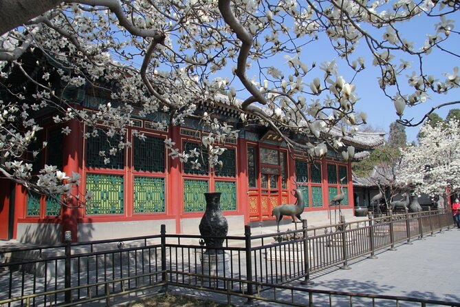 Summer Palace Ticket with optional Guided Tour - Kunming Lake and the scale of the imperial garden