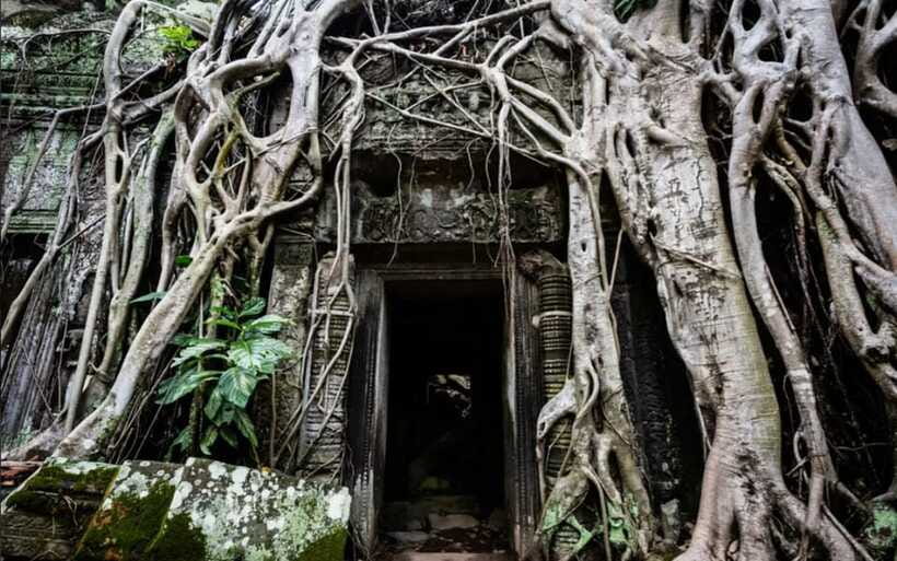 Sunrise at Angkor Wat and Small Tour with Tours Guide - Shared group or private outing?