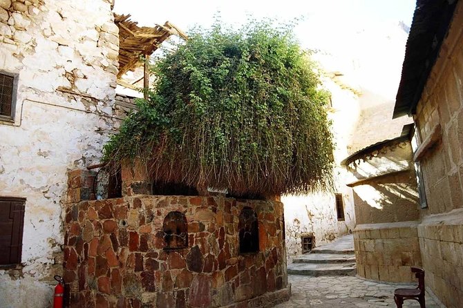 Sunrise at Mt.Sinai and St.Catherine monastery. Entrance included - The cold at the summit