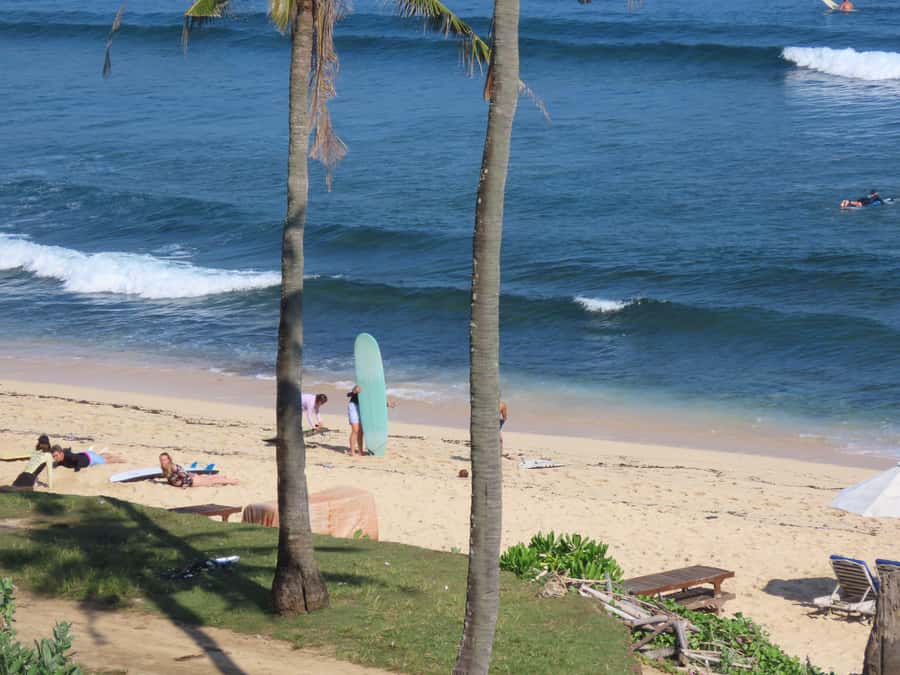 Surf Lessons in Uluwatu for All Levels - Who should book this surf lesson?