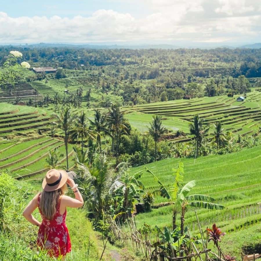 Tanah Lot-Nung Nung Waterfall-Jatiluwih and Bedugul - A full day from Bali’s forests to the sea