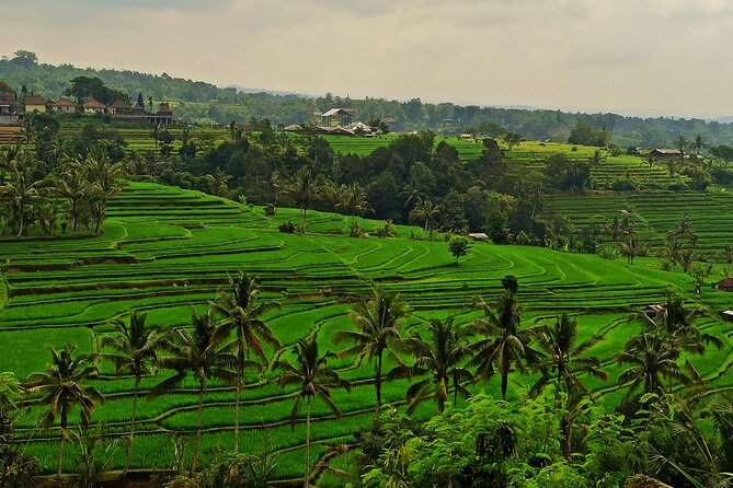 Tanah Lot Tour: Discover Bali’s Iconic Temple and Stunning Views - Jatiluwih shows Bali’s farming country at full scale