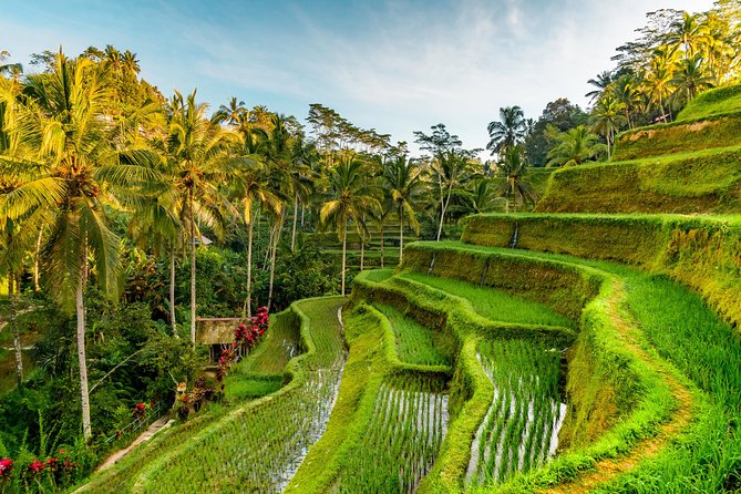 Tanah Lot Tour with Ubud Monkey Forest, Rice Terraces, and Waterfalls - Tanah Lot and the sea temple setting