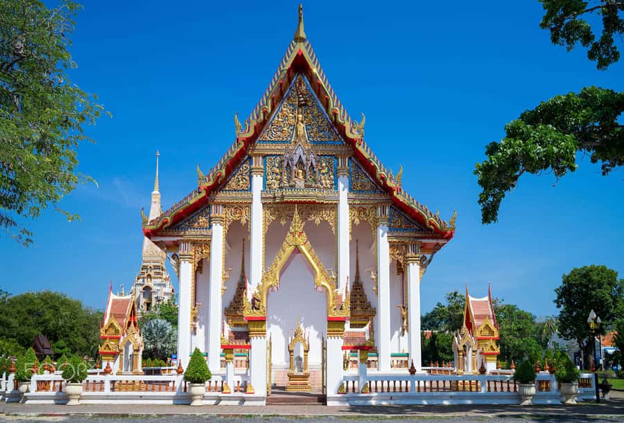 Temple and Jungle Trekking tour with Lunch at Farm-to-Table - Luang Phu Supa and a monk’s blessing