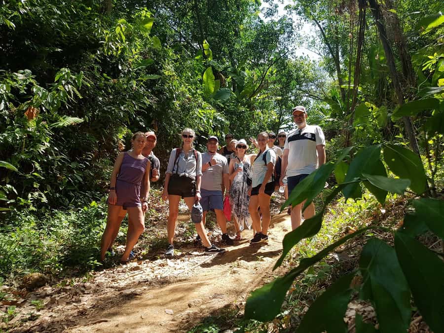 Temple and Jungle Trekking tour with Lunch at Farm-to-Table - Farm-to-table lunch with a few venue details to confirm