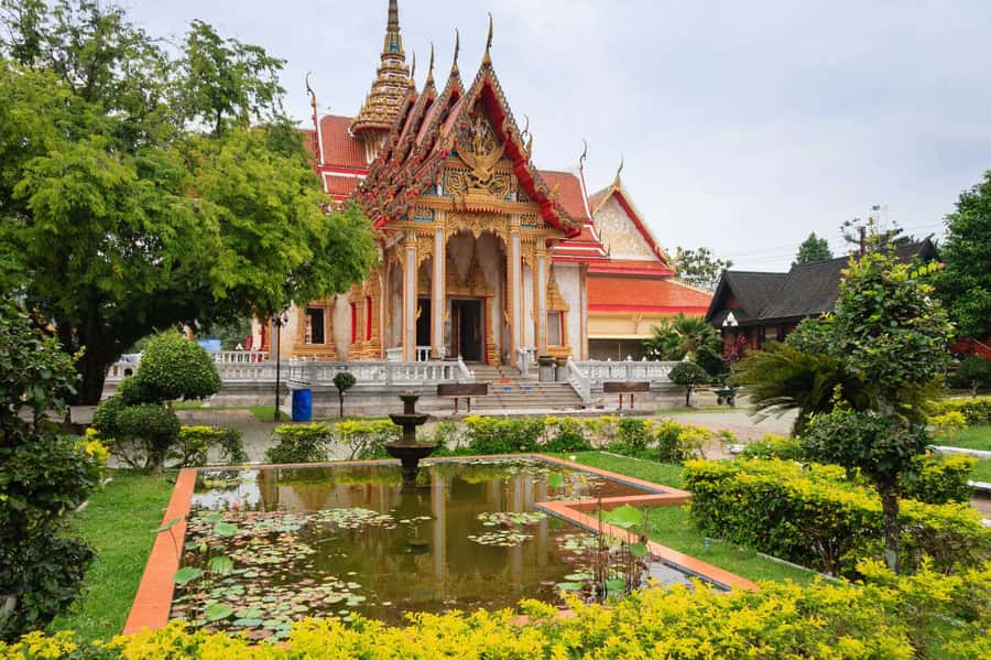 Temple and Jungle Trekking tour with Lunch at Farm-to-Table - What the guides add to the day
