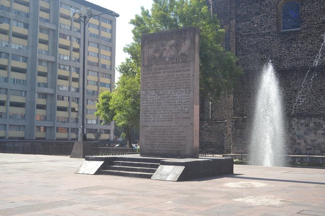 Teotihuacan & Guadalupe Shrine + Xochimilco, Coyoacán & Frida Kahlo Combo Tour - The guides make the difference