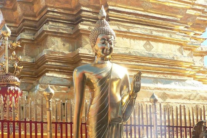 The Best Chiang Mai City Private Tour: Famous Temples & Viewpoint - Who gets the most from this tour?