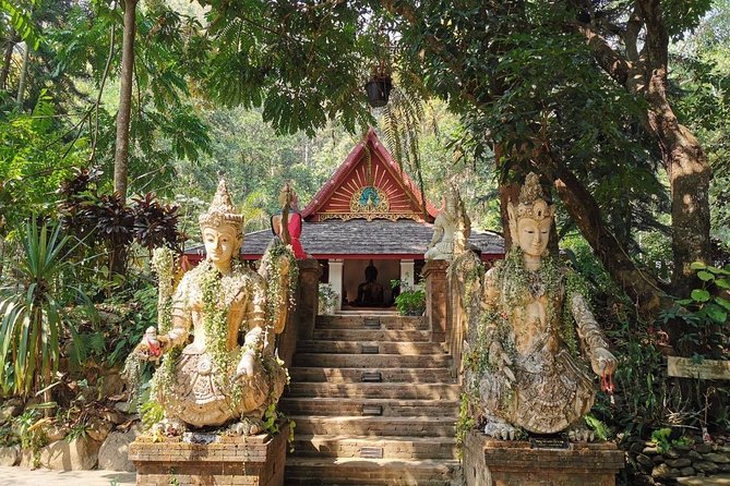 The Best City Tour View Points Wat Doi Suthep, Wat Chedi Luang and Wat Pha Lat - Morning or afternoon: choosing the better half-day