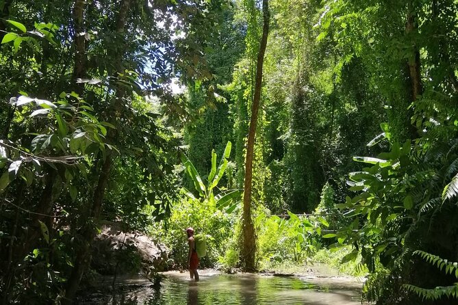 The Best Full Day Tour: Doi Suthep, Wat Phalat, Sticky Waterfall - Bua Thong Sticky Waterfall: the active finale