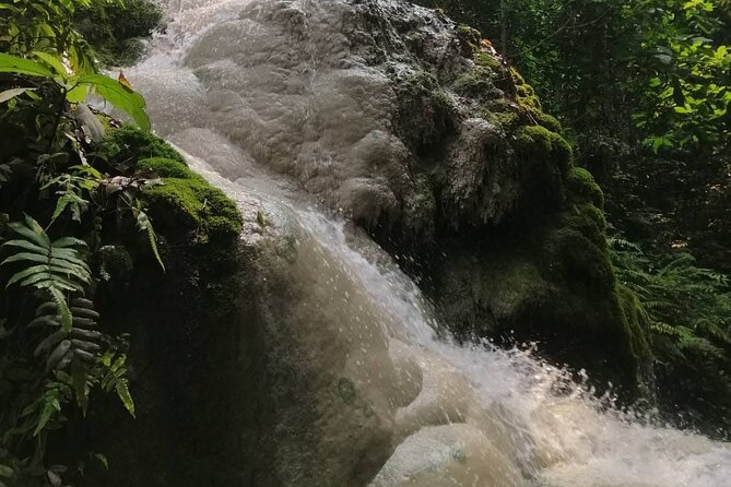 The Best Full Day Tour: Doi Suthep, Wat Phalat, Sticky Waterfall - Who should book this tour