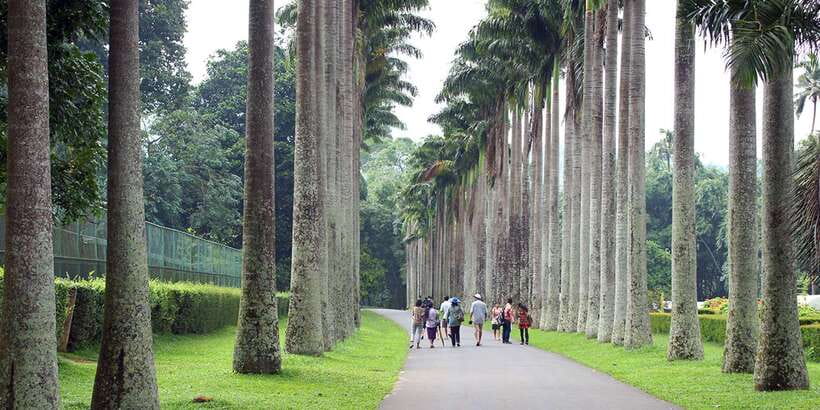 Three Temples Loop In Kandy Day Tour By Tuk Tuk - Why the three-temple route is worth your time