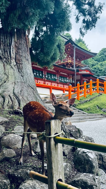 Todaiji Temple, Kasuga Shrine and Nara Park Guided Full Tour - Todaiji and the Great Buddha