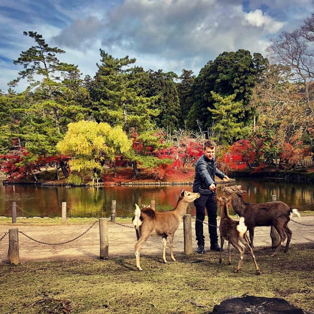 Todaiji Temple, Kasuga Shrine and Nara Park Guided Full Tour - Ukimido Pavilion and the quieter side of the park