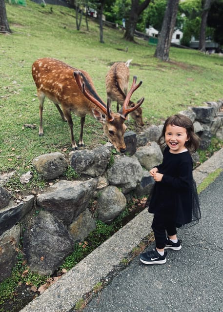 Todaiji Temple, Kasuga Shrine and Nara Park Guided Full Tour - Walking, stairs, timing, and what to bring