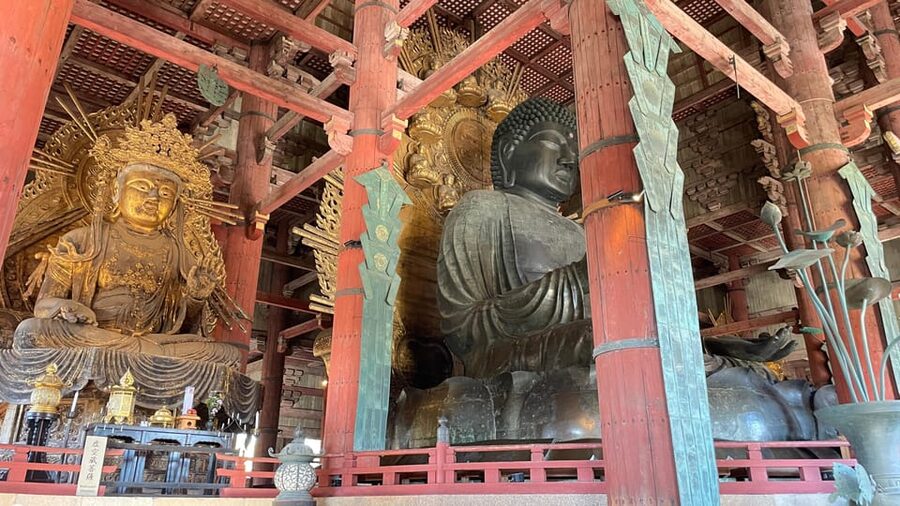 Todaiji Temple, Kasuga Shrine and Nara Park Guided Full Tour - Nara Park and its free-roaming Sika deer