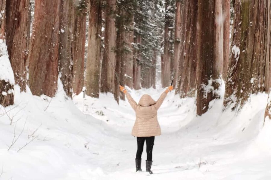 Togakushi & Best of Nagano: Snow Monkeys, Obuse and more - Key points to know before you book