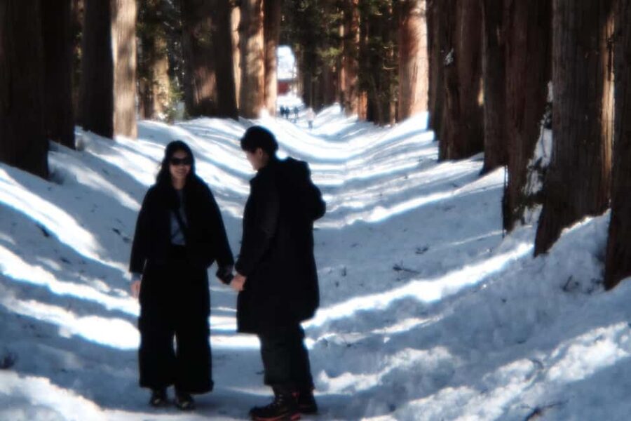 Togakushi & Best of Nagano: Snow Monkeys, Obuse and more - Why Togakushi’s Cedar Avenue Is Worth the Trip