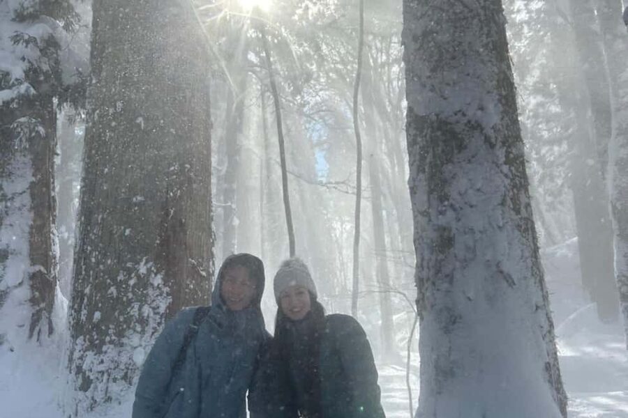 Togakushi & Best of Nagano: Snow Monkeys, Obuse and more - The Private Car Changes the Day
