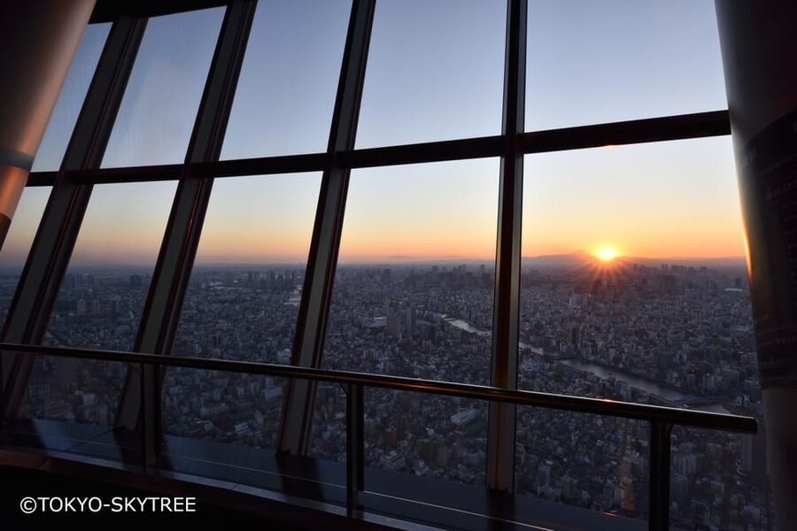 Tokyo: 1 Day Bus Tour with Meiji-Jingu,Odaiba,lunch&Skytree - What this one-day Tokyo tour is really trying to do