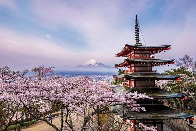 Tokyo: Asakusa Temple & Shrine Walking Tour with Local Guide - The best early view from the Tourist Information Center