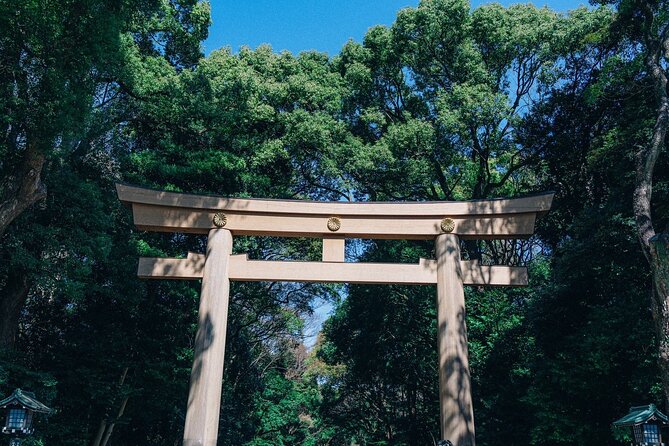 Tokyo Early Morning Tour Asakusa Meiji Shrine (Private Opt) - Why this early route works well in Tokyo