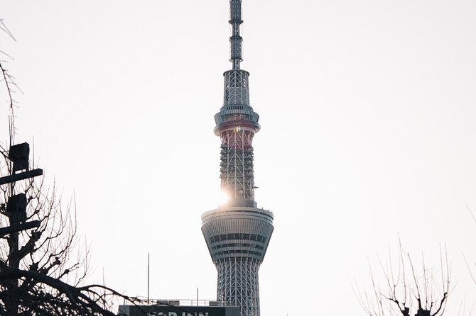 Tokyo Early Morning Tour Asakusa Meiji Shrine (Private Opt) - Meiji Jingu, a quiet change of pace