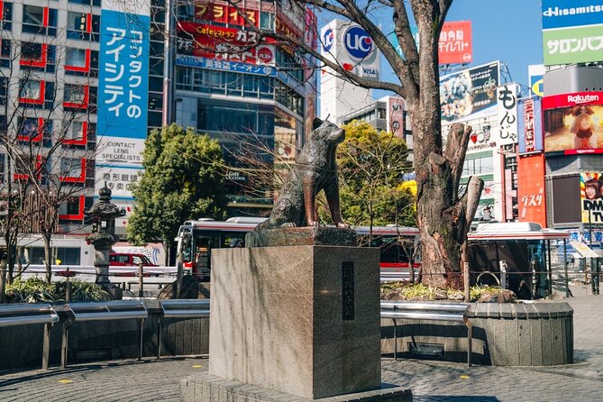 Tokyo Early Morning Tour Asakusa Meiji Shrine (Private Opt) - Who should book this Tokyo morning tour?