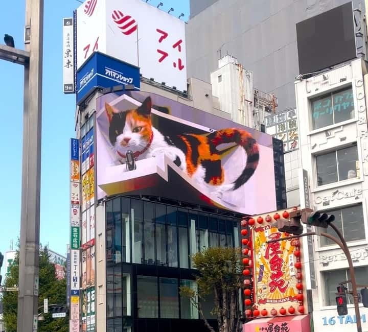 Tokyo: Gotokuji Cat Temple, Shinjuku Cat Cafe & 3D Cat Tour - Who will enjoy this experience most?
