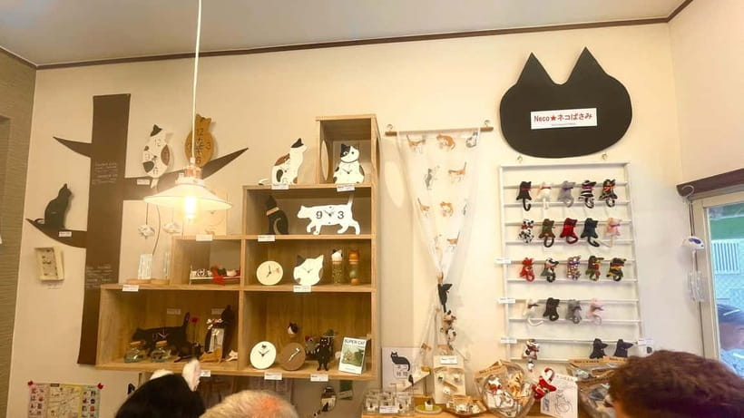 Tokyo: Gotokuji Cat Temple, Shinjuku Cat Cafe & 3D Cat Tour - Small group service and guide quality