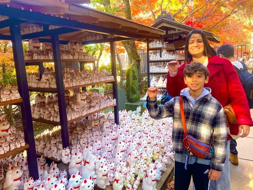 Tokyo: Gotokuji Cat Temple, Shinjuku Cat Cafe & 3D Cat Tour - Thirty minutes at Cat Cafe Mocha Lounge