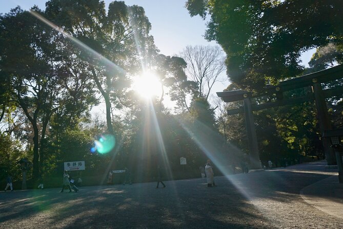 Tokyo: Harajuku Meiji Shrine to Shibuya Crossing Guided Tour - Hachiko and the human story behind the statue