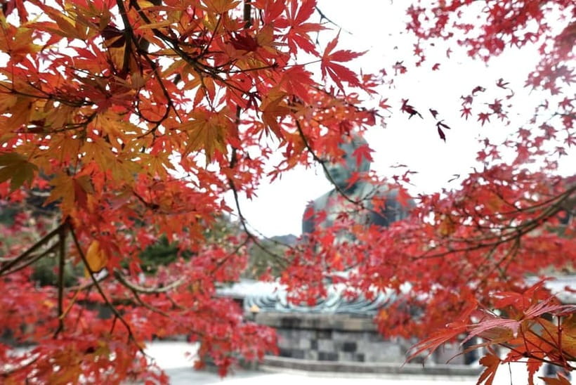 Tokyo: Kamakura & Enoshima Day Trip including Temple Tickets - Enoshima, the scenic finish
