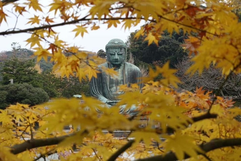 Tokyo: Kamakura & Enoshima Day Trip including Temple Tickets - How to spend your two hours on Enoshima