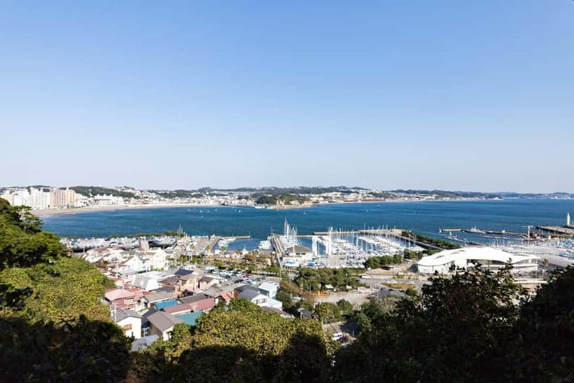 Tokyo: Kamakura & Enoshima Day Trip including Temple Tickets - Guides, language, and the pace of the day