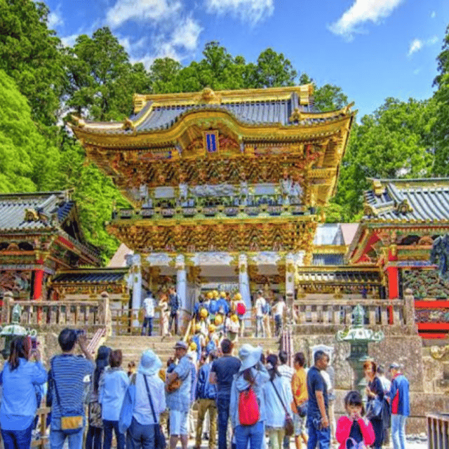 Tokyo: Luxury Nikko Private 1 Day Tour Low Price Guaranteed - Key things to know before you book