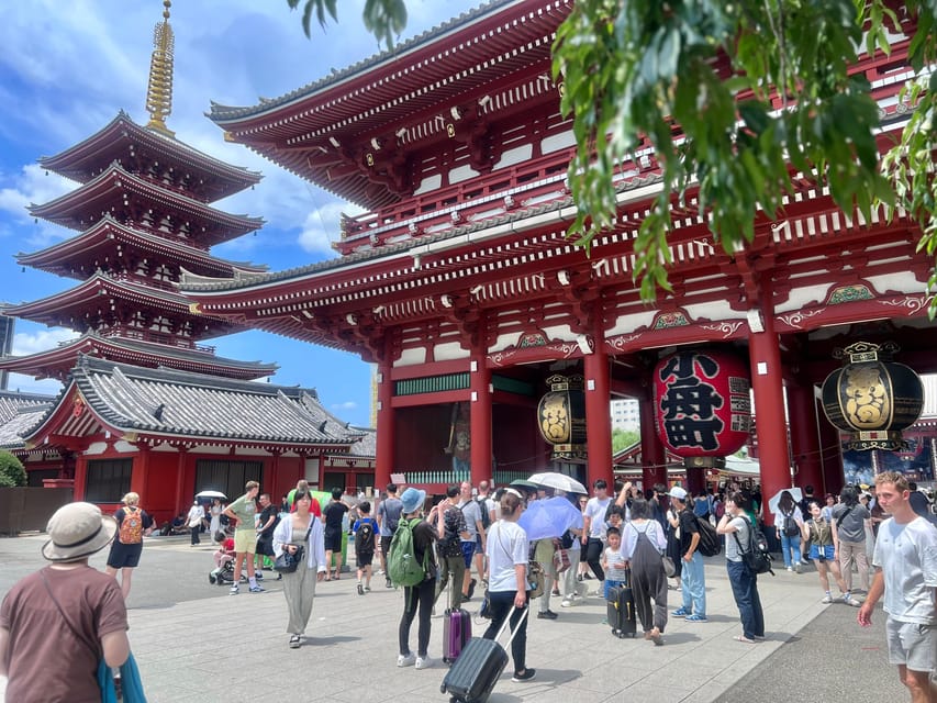 Tokyo: Meiji Jingu Shrine and Shinto Culture Walking Tour - Key points to know before booking