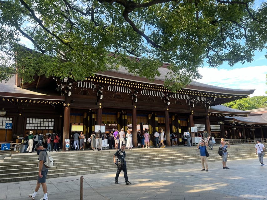Tokyo: Meiji Jingu Shrine and Shinto Culture Walking Tour - Who should book this Meiji Shrine walk?