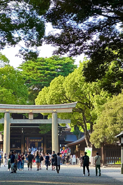 Tokyo: Meiji Jingu Shrine and Shinto Culture Walking Tour - Sake barrels and French wine barrels