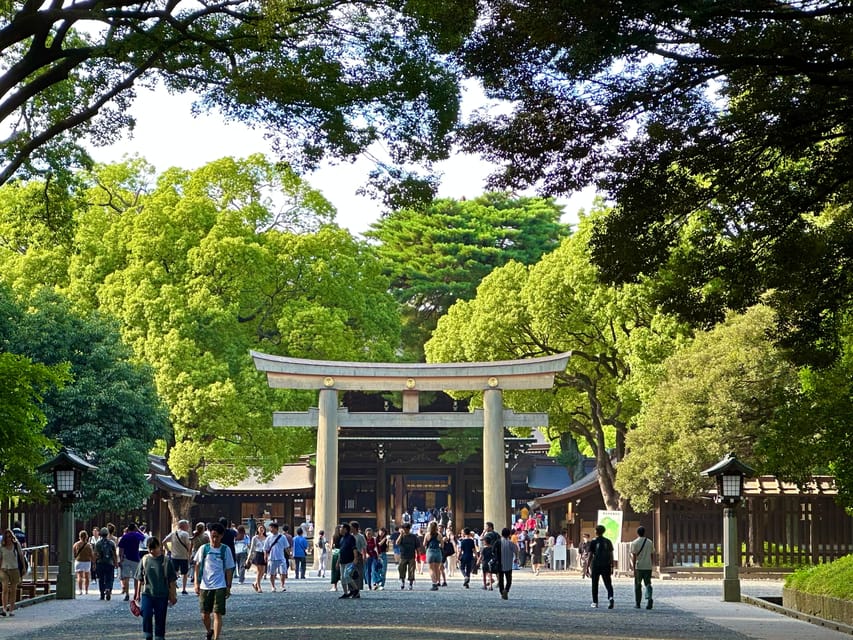 Tokyo: Meiji Jingu Shrine and Shinto Culture Walking Tour - What the small groups change